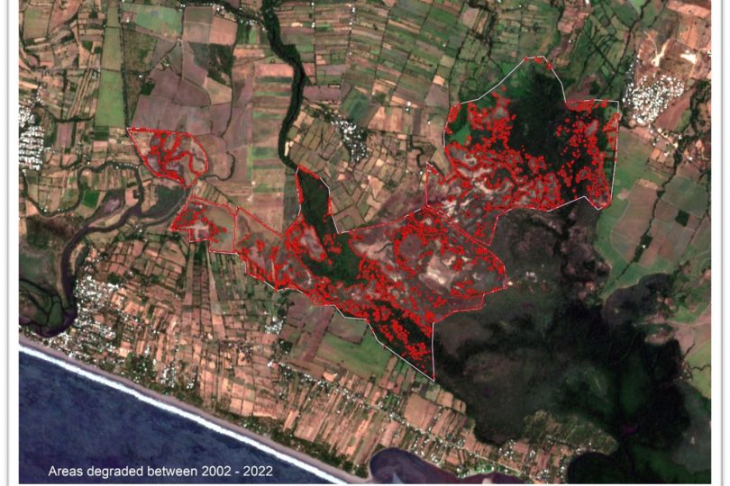 Remote Sensing for Nature Recovery