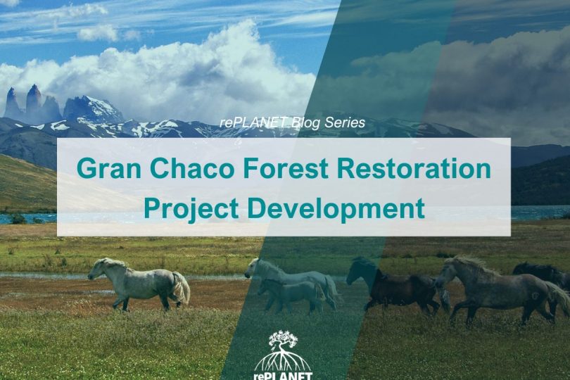 Gran Chaco Forest Restoration Project Development