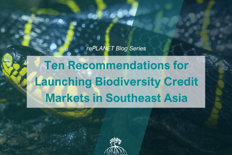 Biodiversity Credits: 10 Recommendations for Launching the Market in Southeast Asia