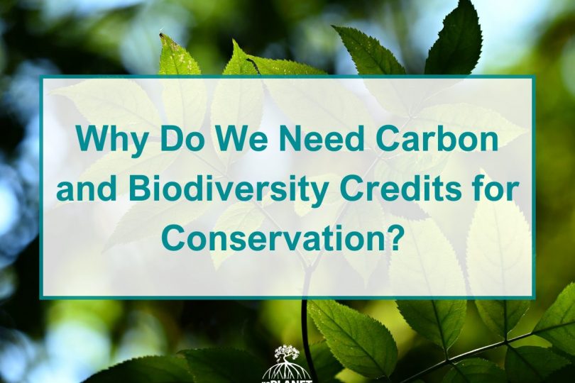 Why Do We Need Carbon and Biodiversity Credits for Conservation?