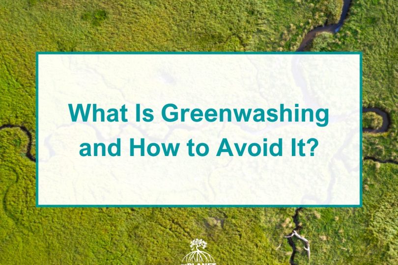 What Is Greenwashing and How to Avoid It?
