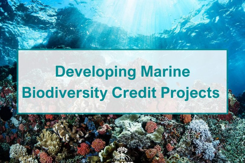 Developing Marine Biodiversity Credit Projects 