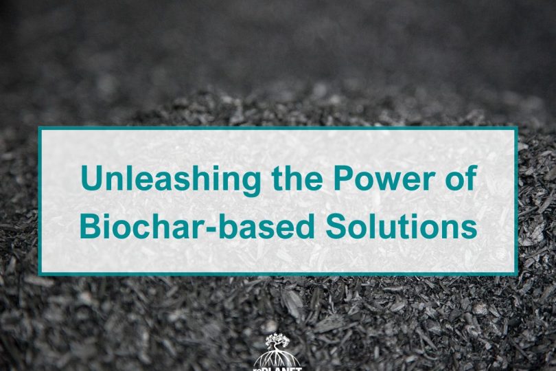 Unleashing the Power of Biochar-based Solutions