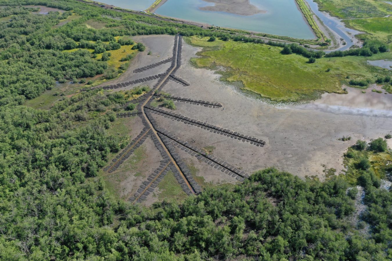 DJI_0651