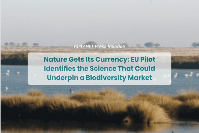 Nature Gets Its Currency: EU Pilot Identifies the Science That Could Underpin a Biodiversity Market