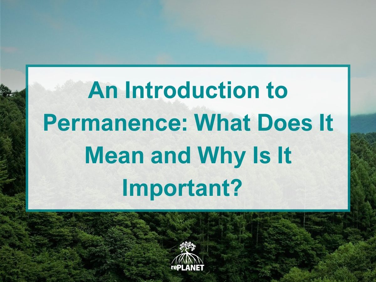 Permanence Blog Title - LinkedIn Post