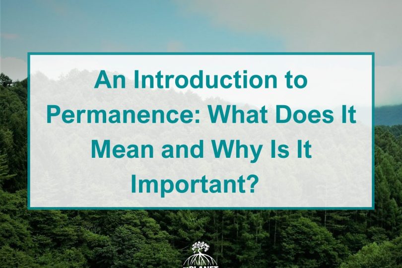 An Introduction to Permanence